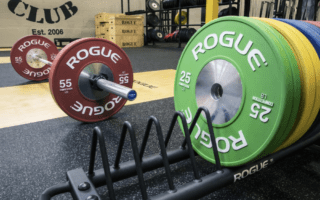 Rogue LB Competition Bumper Plates