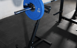 Titan Fitness Landmine Stand