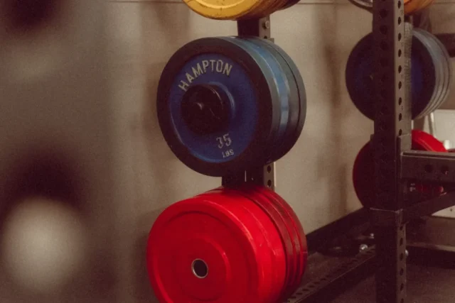 The Best Bumper Plates For Most People (With Various Budgets) 49 best bumper plates featured