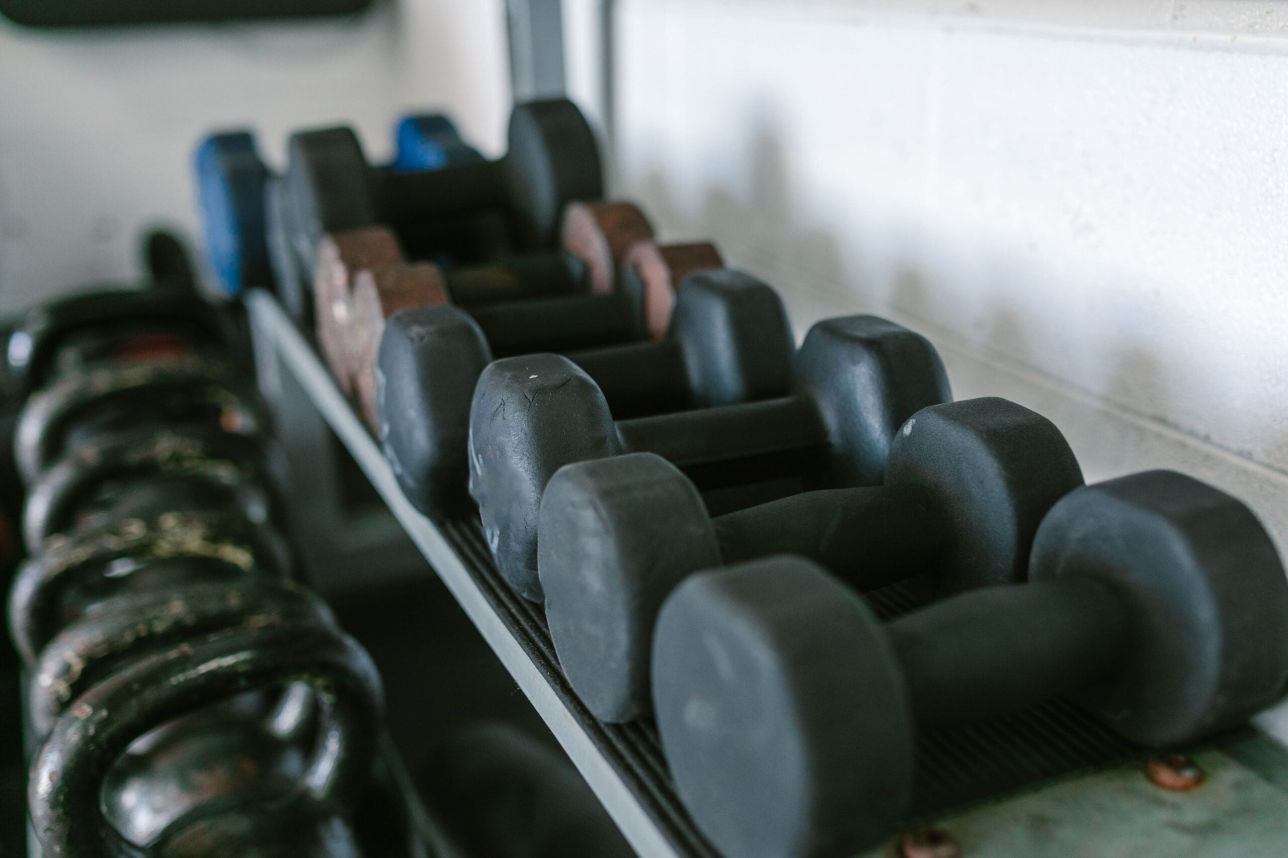 Neatly arranged dumbbells and kettlebells on racks in a gym environment.