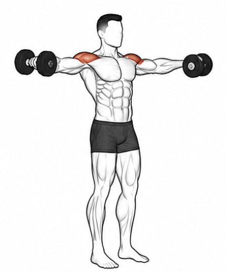 6. Dumbbell Lateral Raises