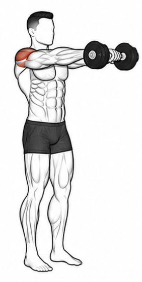 Front Raises