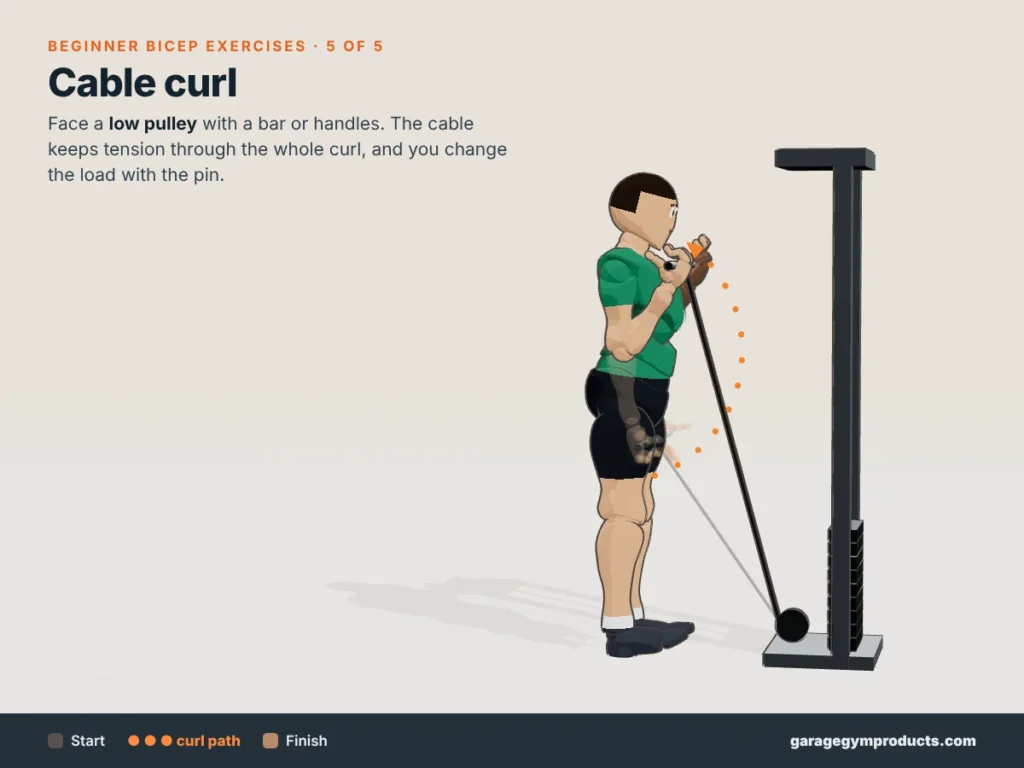 Cartoon illustration of a man doing a cable curl facing a low pulley, one of five beginner bicep exercises, showing start, curl path and finish