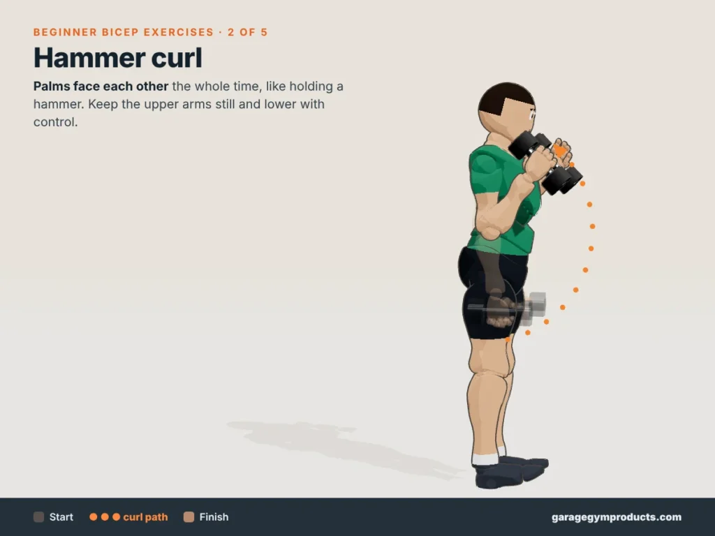 Cartoon illustration of a man doing a hammer curl with palms facing each other, one of five beginner bicep exercises, showing start, curl path and finish