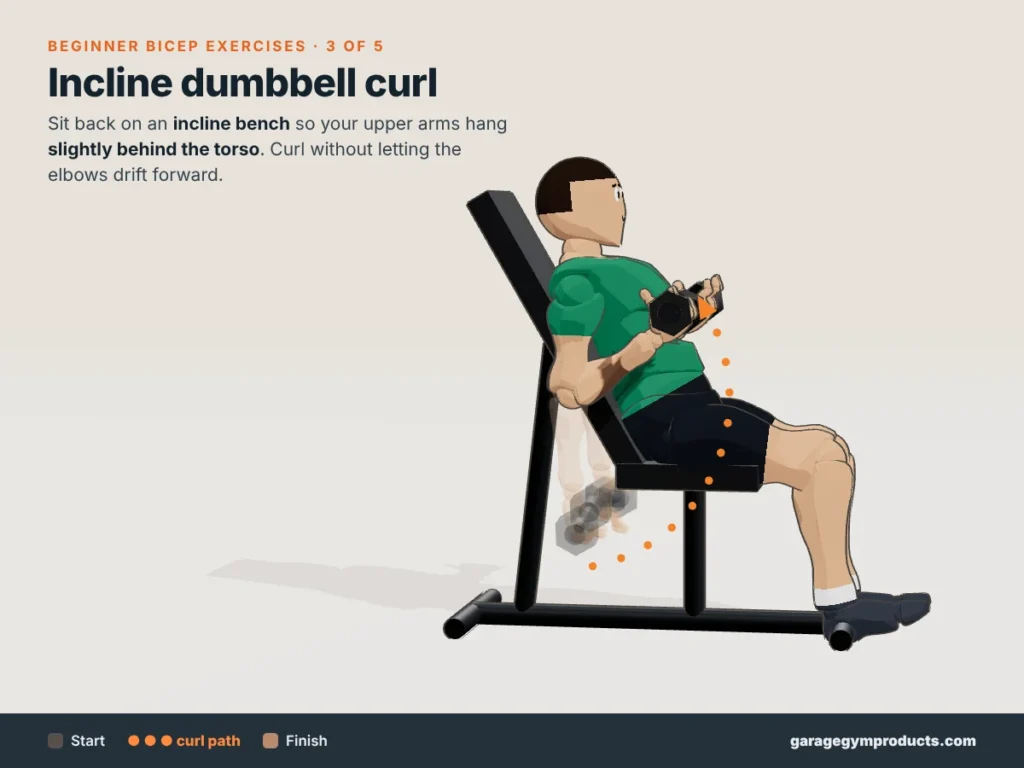 Cartoon illustration of a man doing an incline dumbbell curl with the upper arms hanging behind the torso, one of five beginner bicep exercises, showing start, curl path and finish