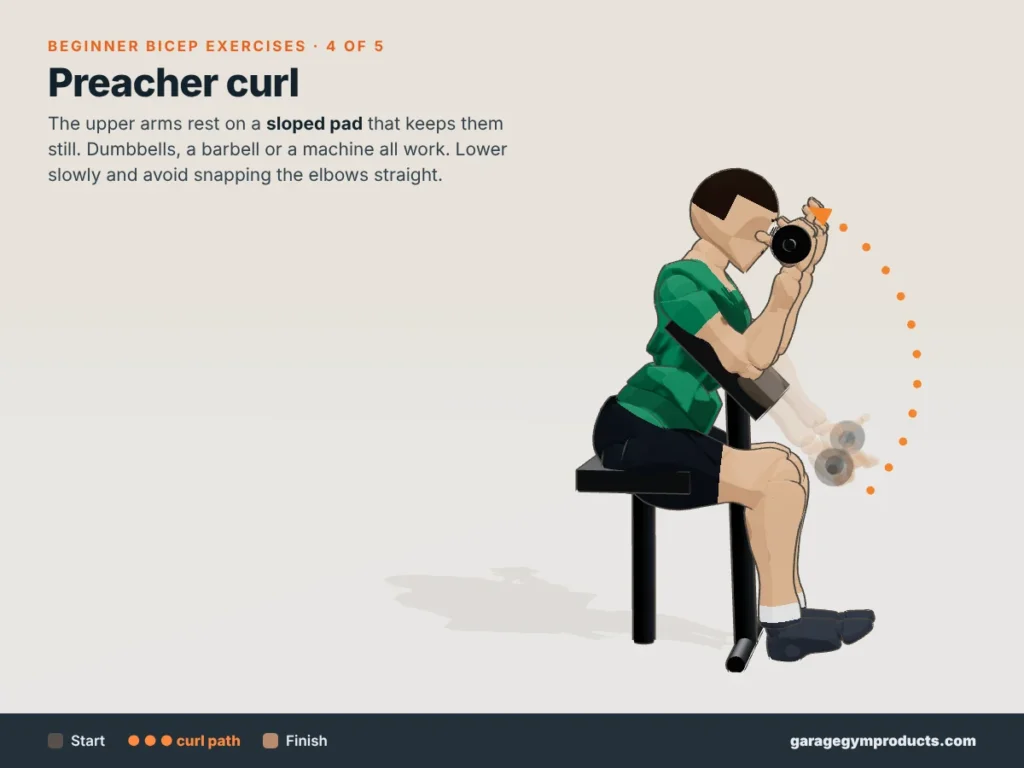 Cartoon illustration of a man doing a preacher curl with the upper arms on a sloped pad, one of five beginner bicep exercises, showing start, curl path and finish
