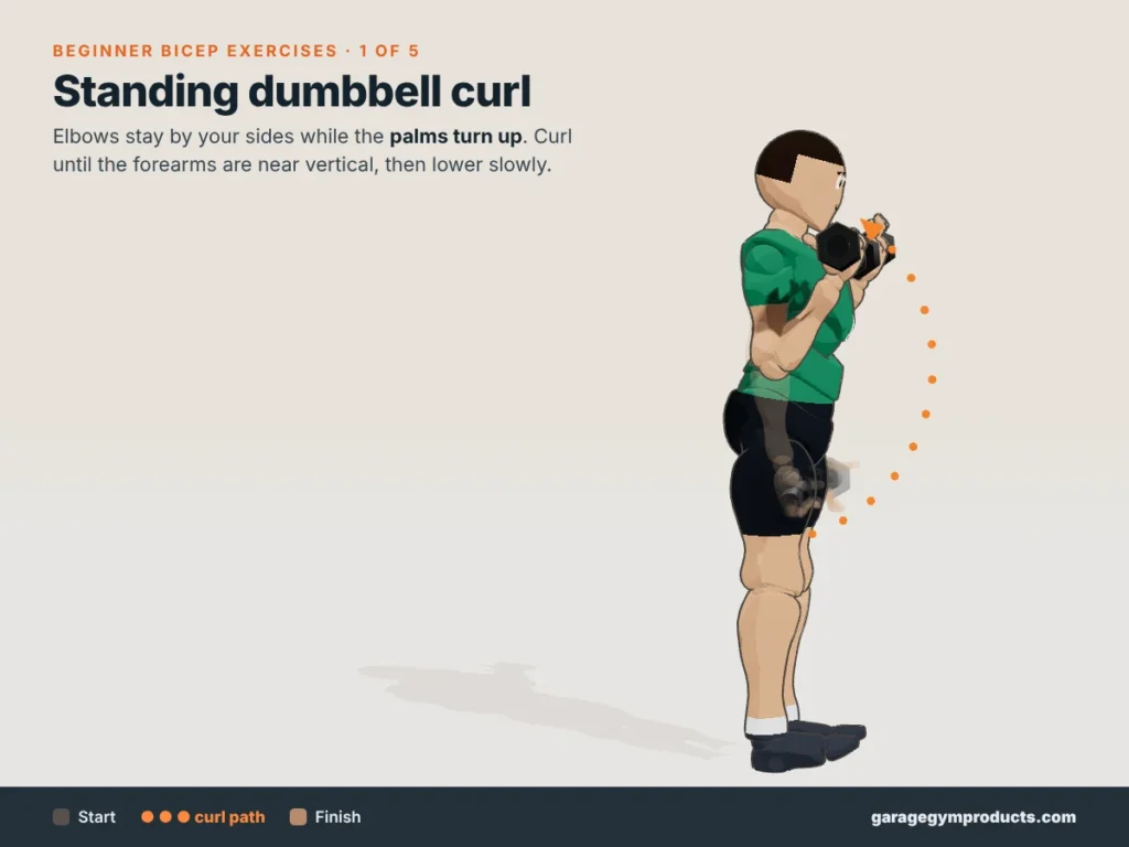 Cartoon illustration of a man doing a standing dumbbell curl with palms turned up, one of five beginner bicep exercises, showing start, curl path and finish